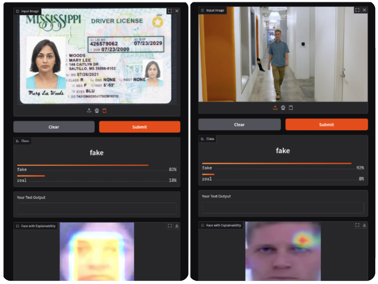 Deepfake Detection